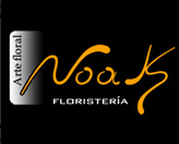 Noak Floristera